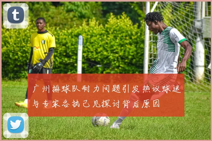 广州排球队耐力问题引发热议球迷与专家各执己见探讨背后原因