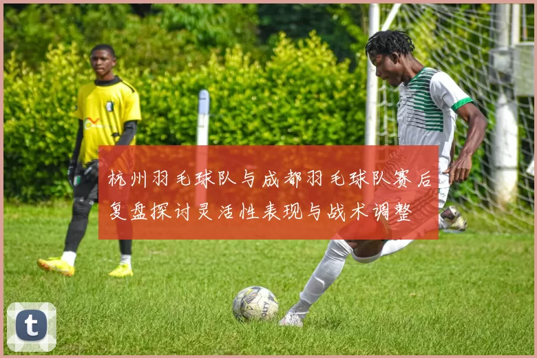 杭州羽毛球队与成都羽毛球队赛后复盘探讨灵活性表现与战术调整