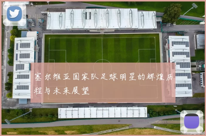 塞尔维亚国家队足球明星的辉煌历程与未来展望