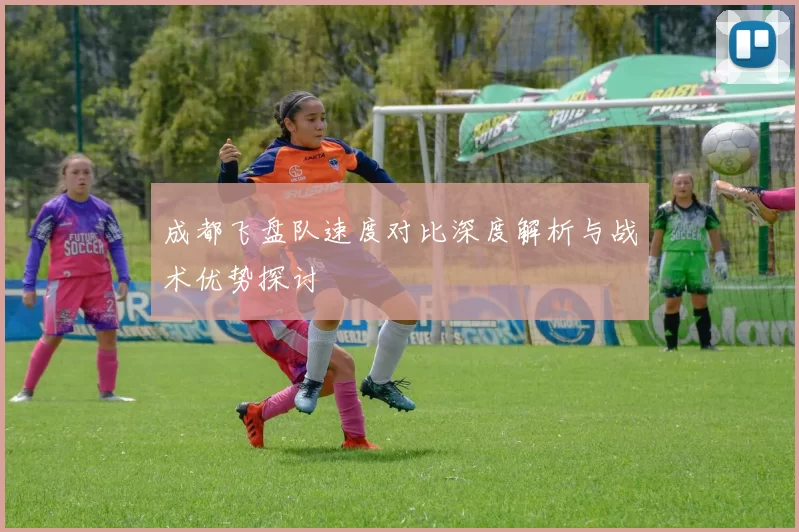 成都飞盘队速度对比深度解析与战术优势探讨