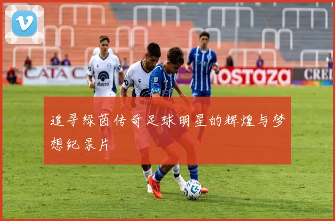 追寻绿茵传奇足球明星的辉煌与梦想纪录片