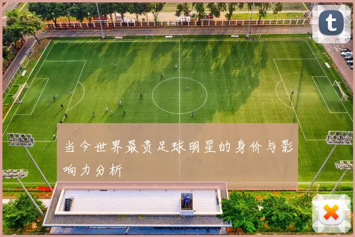 当今世界最贵足球明星的身价与影响力分析