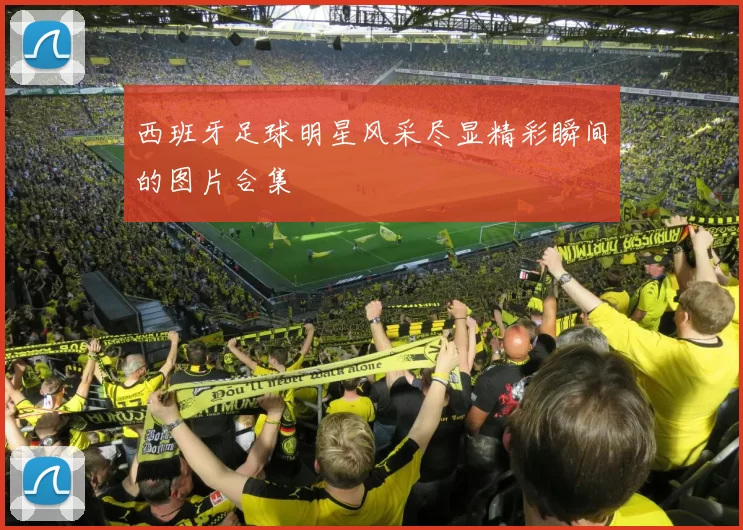 西班牙足球明星风采尽显精彩瞬间的图片合集