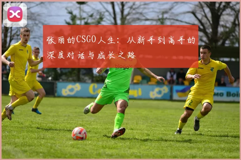张丽的CSGO人生：从新手到高手的深度对话与成长之路