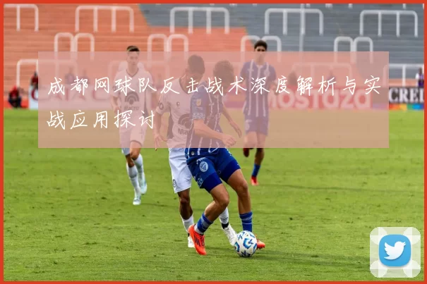 成都网球队反击战术深度解析与实战应用探讨