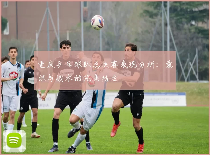 重庆乒乓球队总决赛表现分析：意识与战术的完美结合