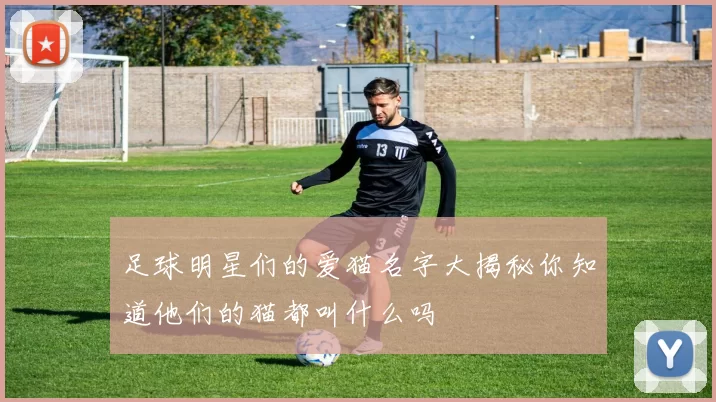 足球明星们的爱猫名字大揭秘你知道他们的猫都叫什么吗