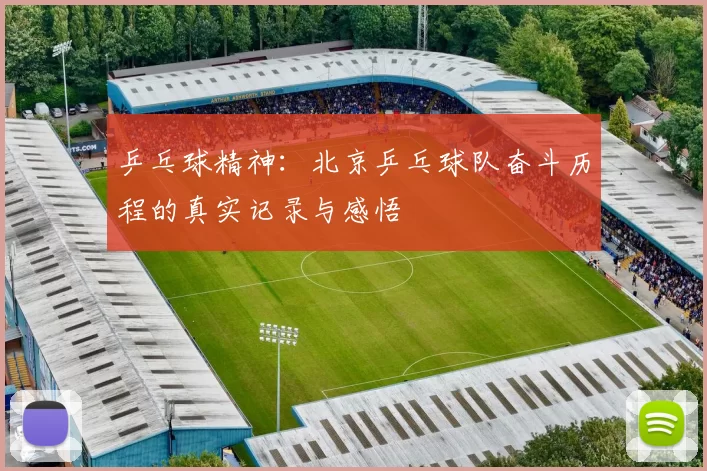 乒乓球精神：北京乒乓球队奋斗历程的真实记录与感悟