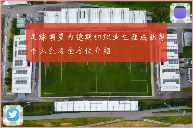 足球明星内德斯的职业生涯成就与个人生活全方位介绍