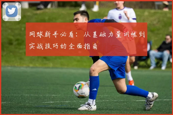 网球新手必看：从基础力量训练到实战技巧的全面指南