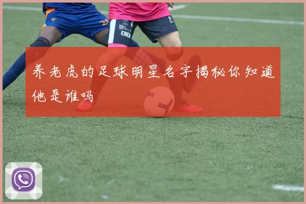 养老虎的足球明星名字揭秘你知道他是谁吗