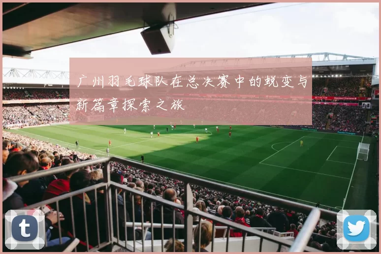 广州羽毛球队在总决赛中的蜕变与新篇章探索之旅