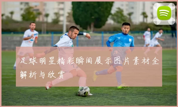 足球明星精彩瞬间展示图片素材全解析与欣赏