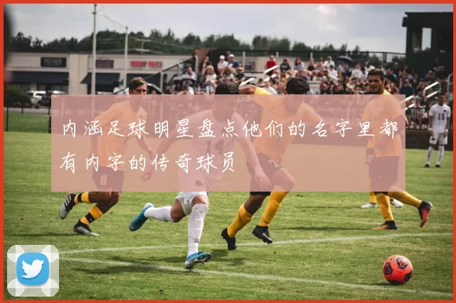内涵足球明星盘点他们的名字里都有内字的传奇球员