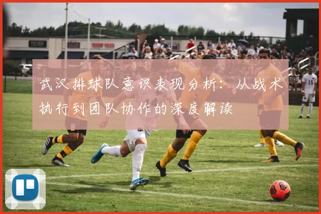 武汉排球队意识表现分析：从战术执行到团队协作的深度解读