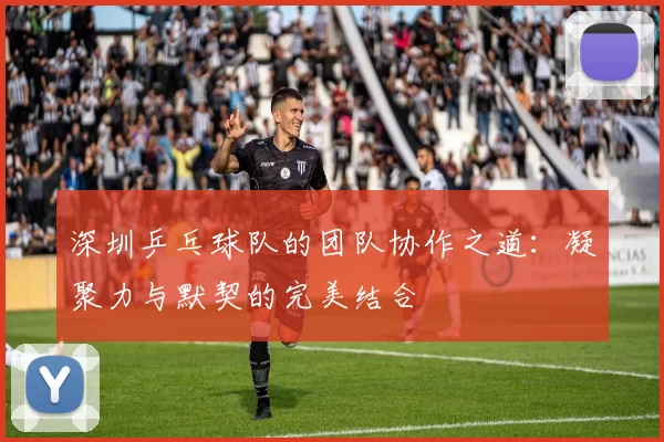 深圳乒乓球队的团队协作之道：凝聚力与默契的完美结合