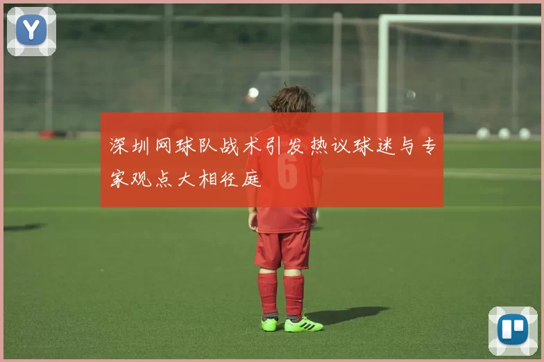 深圳网球队战术引发热议球迷与专家观点大相径庭