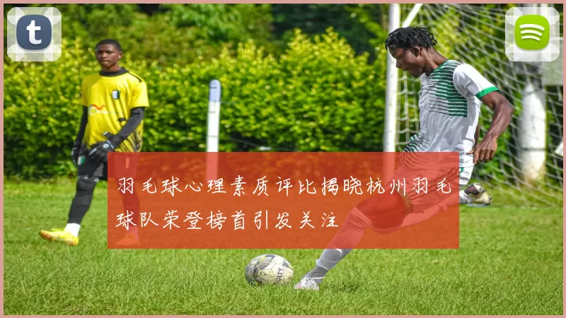 羽毛球心理素质评比揭晓杭州羽毛球队荣登榜首引发关注