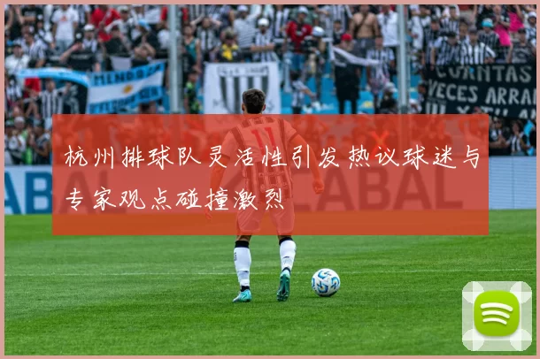 杭州排球队灵活性引发热议球迷与专家观点碰撞激烈