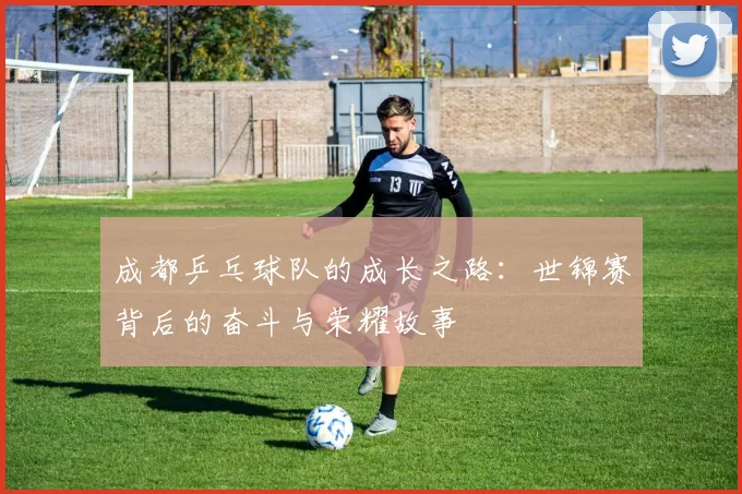 成都乒乓球队的成长之路：世锦赛背后的奋斗与荣耀故事