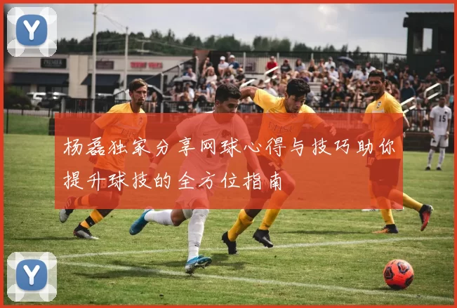 杨磊独家分享网球心得与技巧助你提升球技的全方位指南