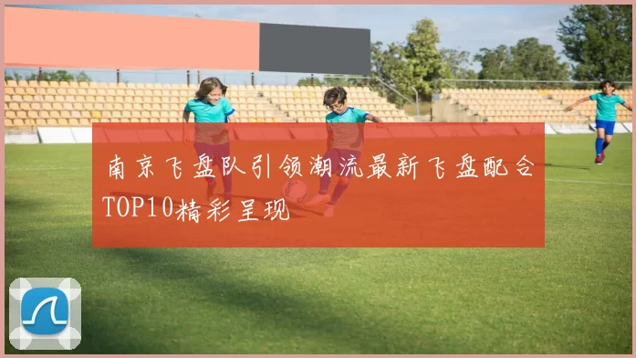 南京飞盘队引领潮流最新飞盘配合TOP10精彩呈现