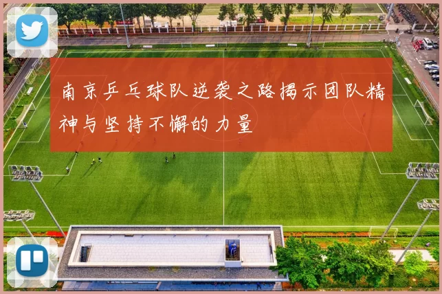 南京乒乓球队逆袭之路揭示团队精神与坚持不懈的力量