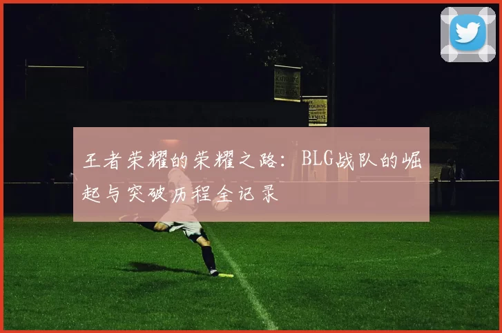 王者荣耀的荣耀之路：BLG战队的崛起与突破历程全记录