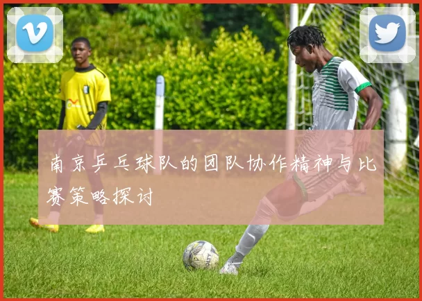 南京乒乓球队的团队协作精神与比赛策略探讨