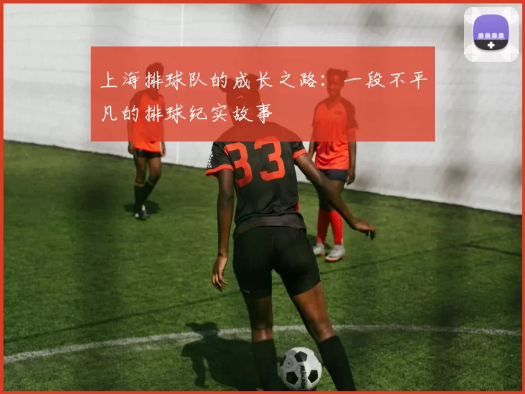 上海排球队的成长之路：一段不平凡的排球纪实故事