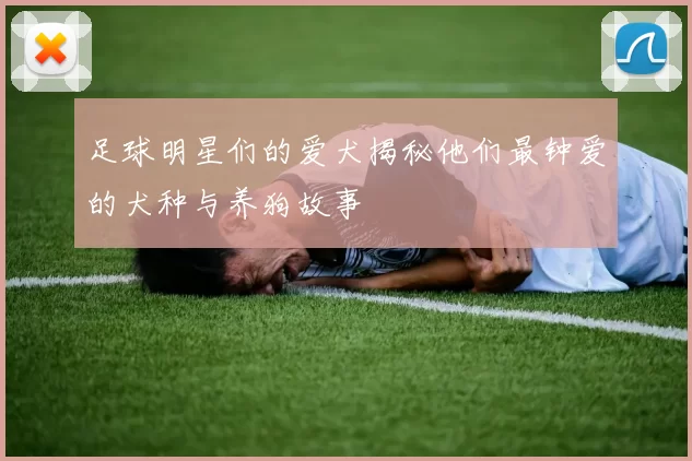 足球明星们的爱犬揭秘他们最钟爱的犬种与养狗故事