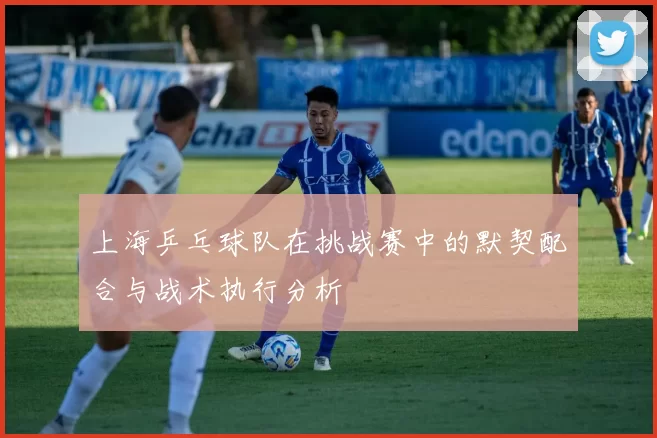 上海乒乓球队在挑战赛中的默契配合与战术执行分析